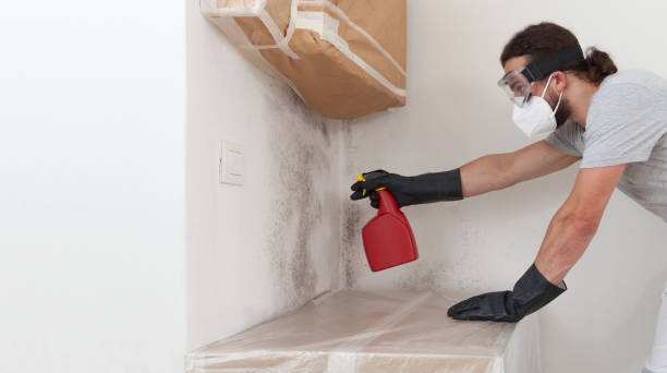 Attic Mold Remediation treatment on roof deck in New Berlin