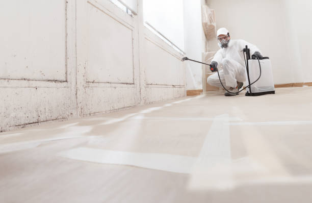 Black mold remediation team in New Berlin